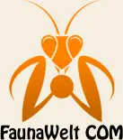 FaunaWelt COM